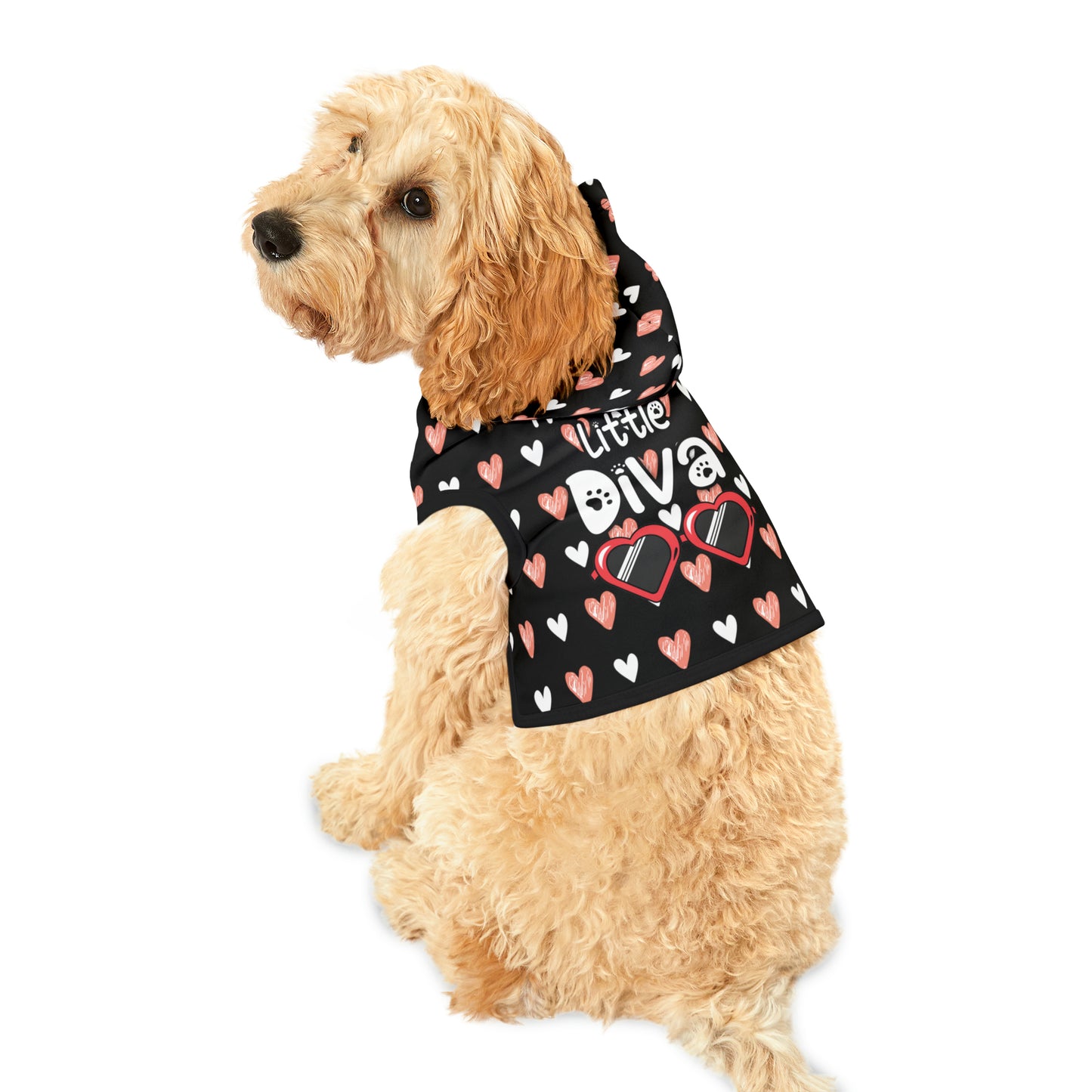 cute dog wearing a pet hoodie with a beautiful hearts pattern design with a message that says: "I'm a Sassy Little Diva" and sun glasses. Hoodie's Color is black