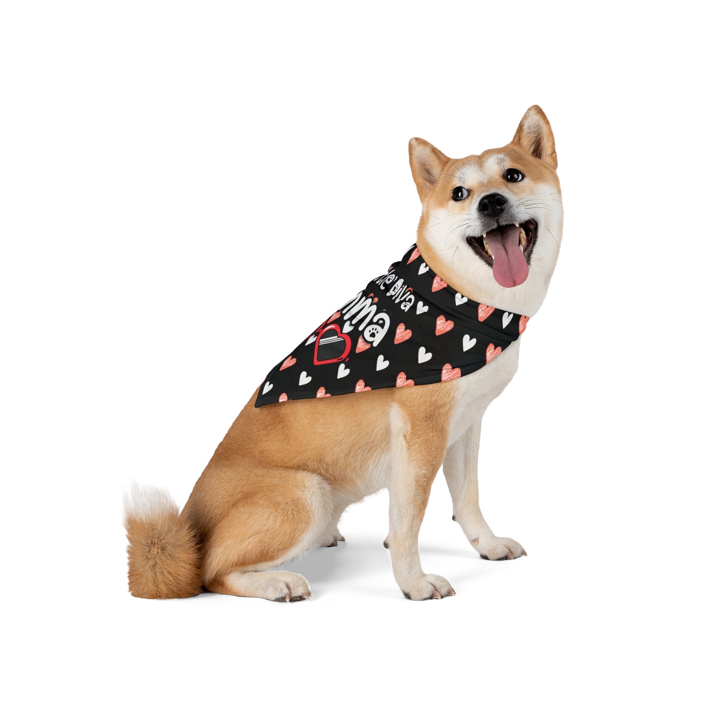 a cute dog wearing a bandana. The bandana has a beautiful hearts pattern design with a message that says: "Little Diva Gemma" and sun glasses. Bandana's Color is black