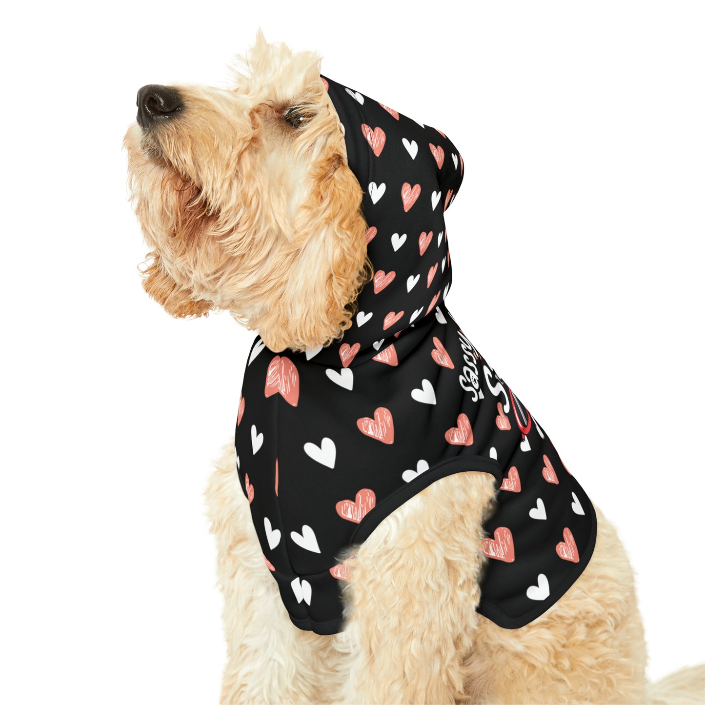 side view of a cute dog wearing a pet hoodie. The pet hoodie has a beautiful hearts pattern design with a message that says: "Little Diva Sadie" and sun glasses. Hoodie's Color is black