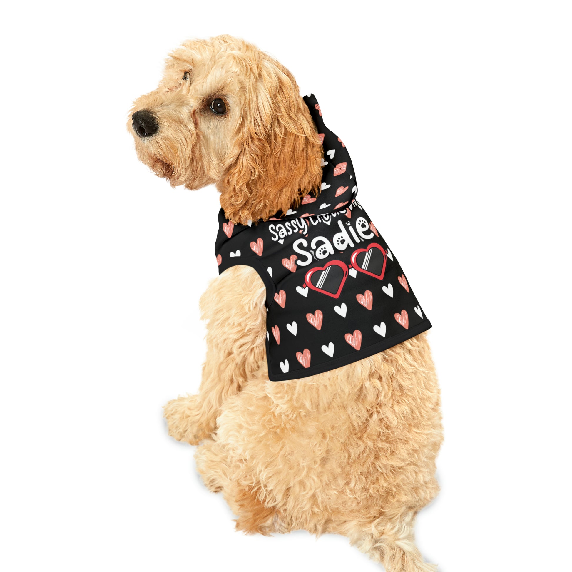 a cute dog wearing a pet hoodie. The pet hoodie has a beautiful hearts pattern design with a message that says: "Little Diva Sadie" and sun glasses. Hoodie's Color is black 