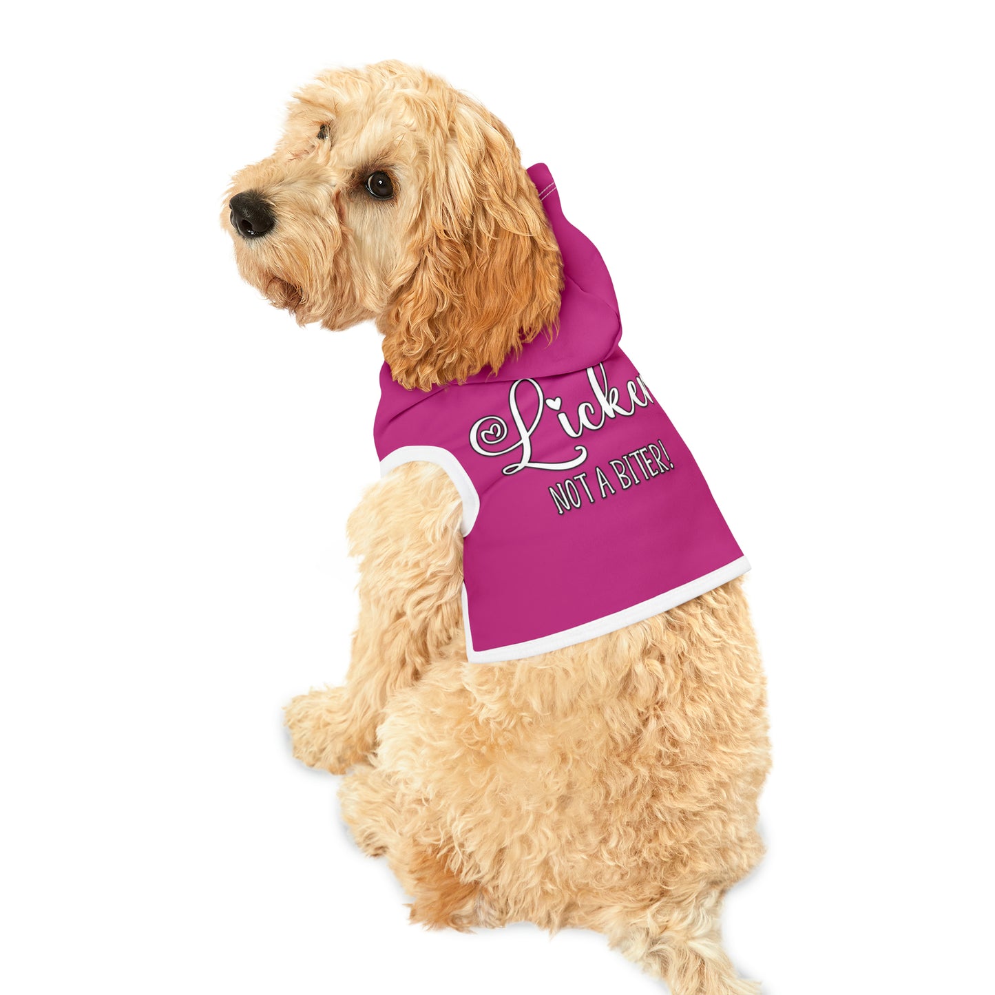 A cute dog wearing a pet hoodie with the message "I'm a Licker not a biter!". Pet Hoodie's Color is pink