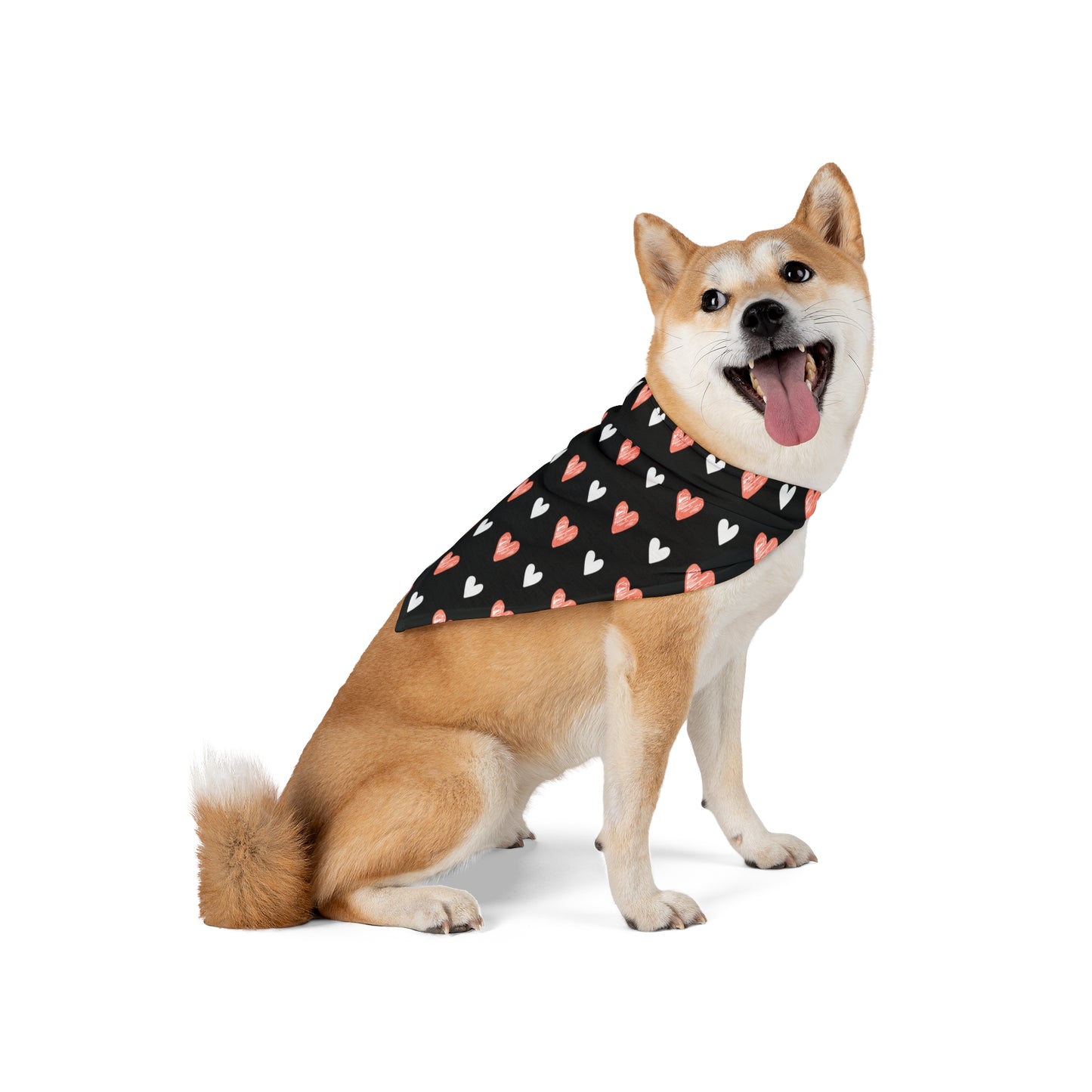 a cute dog wearing a bandana. The bandana has a beautiful hearts pattern design. Bandana's Color is black