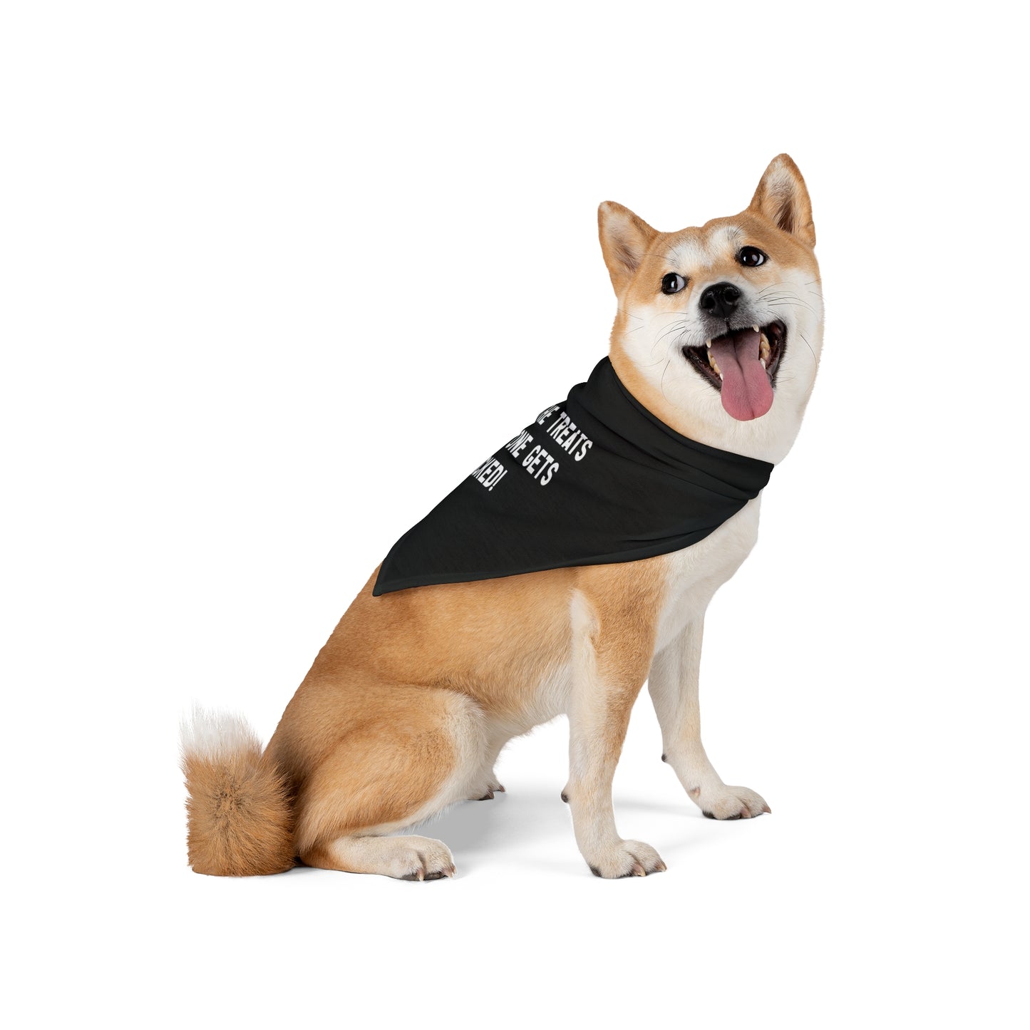 a cute dog wearing a bandana. The bandana has a design with the message: Give me the treats and no one gets licked! Bandana's Color is black