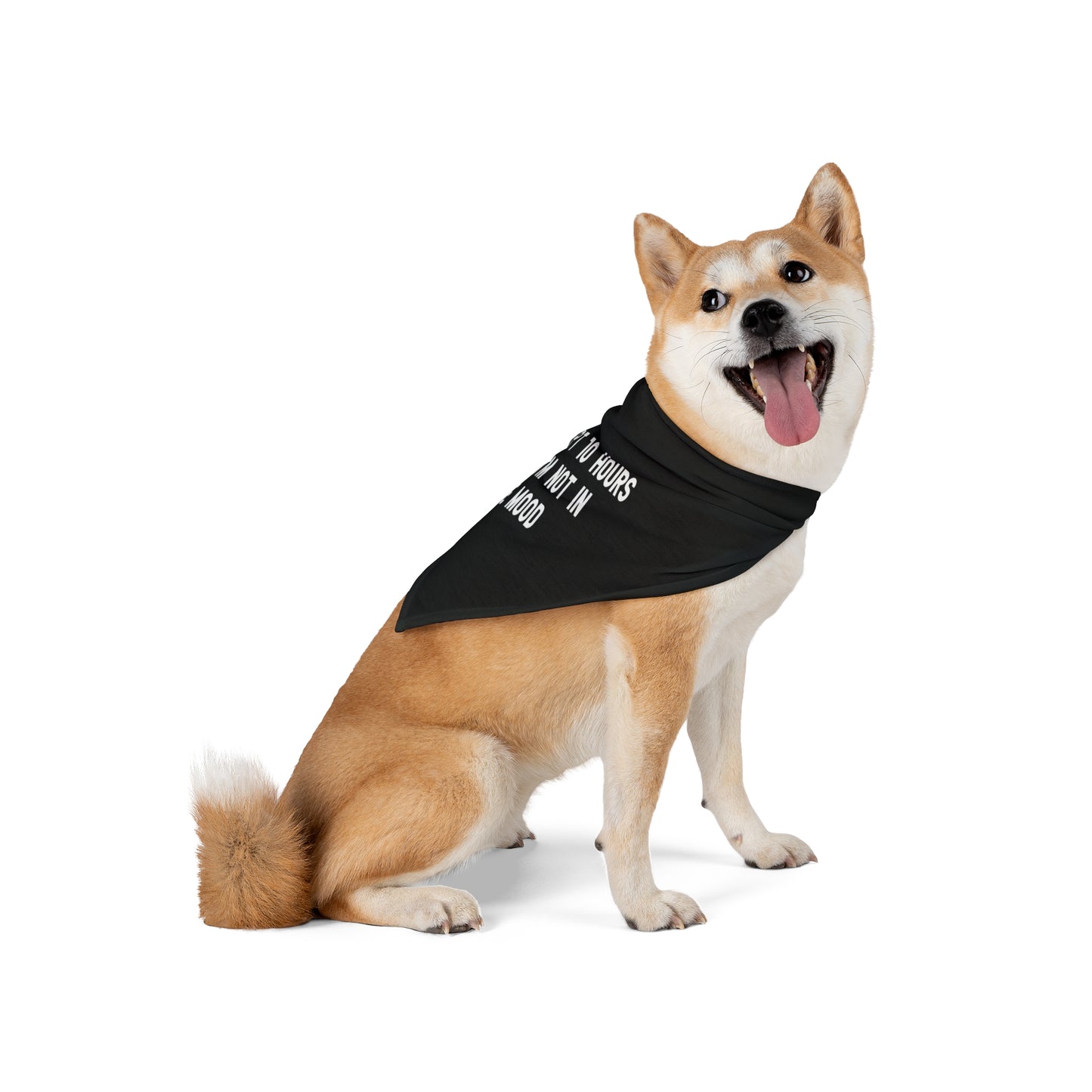 a cute dog wearing a bandana. The bandana has a the message: I ONLY SLEPT 10 HOURS TODAY. I'M NOT IN THE MOOD . Bandana's Color is black