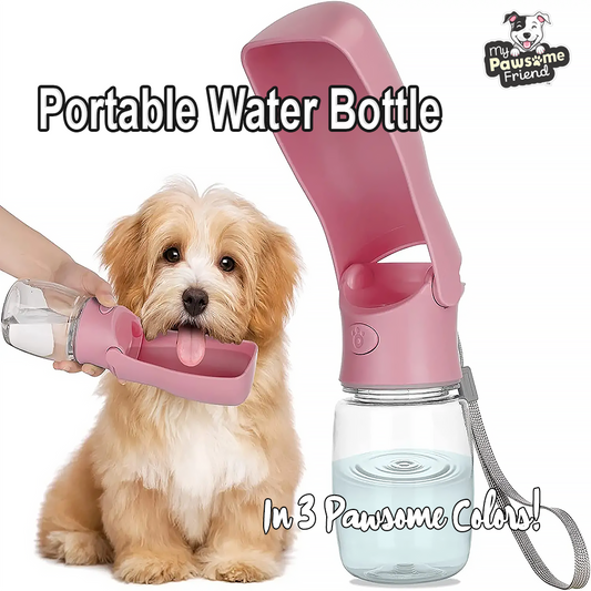 A cute dog drinking from a portable pet water bottle. The pet water bottle color is pink