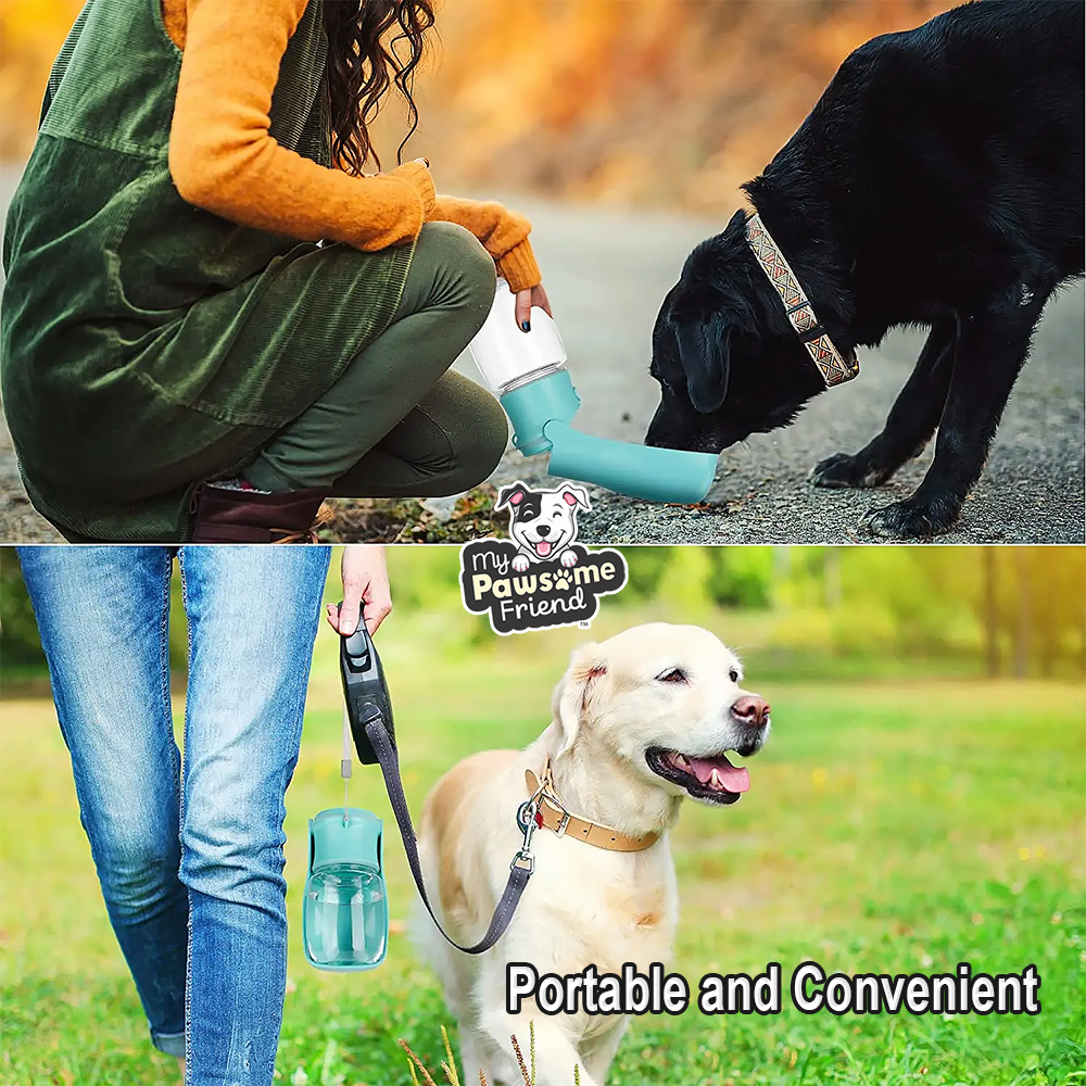 Two cute dogs drinking from a portable pet water bottle. The pet water bottle color is green